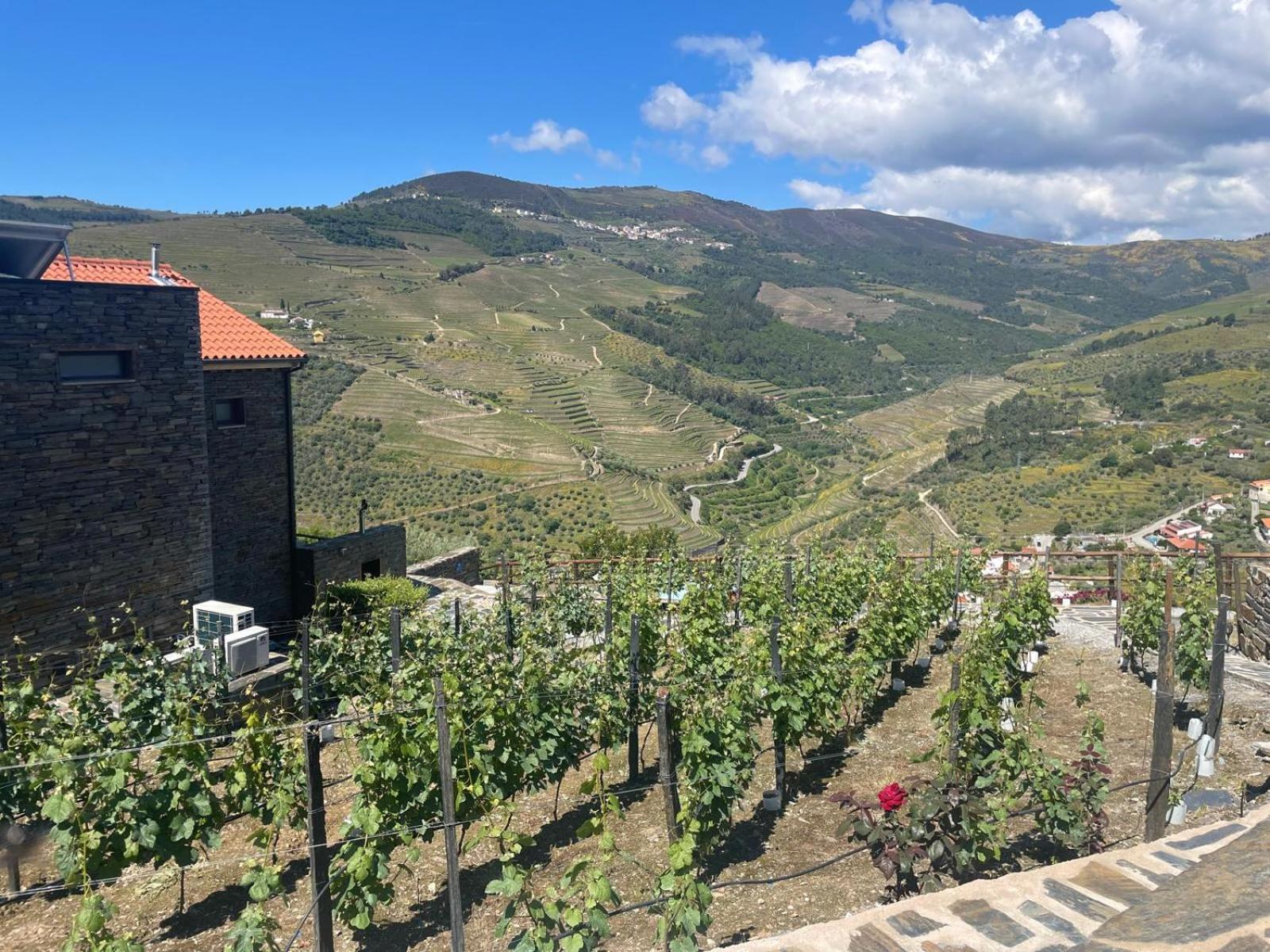 Quinta Do Casal Bystol, Casa 1 Dom wakacyjny Casal de Loivos
